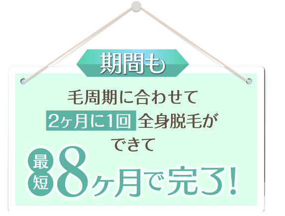 めっちゃオトク！のりかえ割